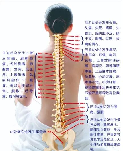 保護腰椎—示范腰椎保健操，趕快收藏吧