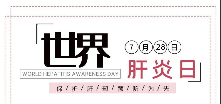 世界肝炎日——積極預(yù)防，主動檢測，規(guī)范治療，全面遏制肝炎危害！