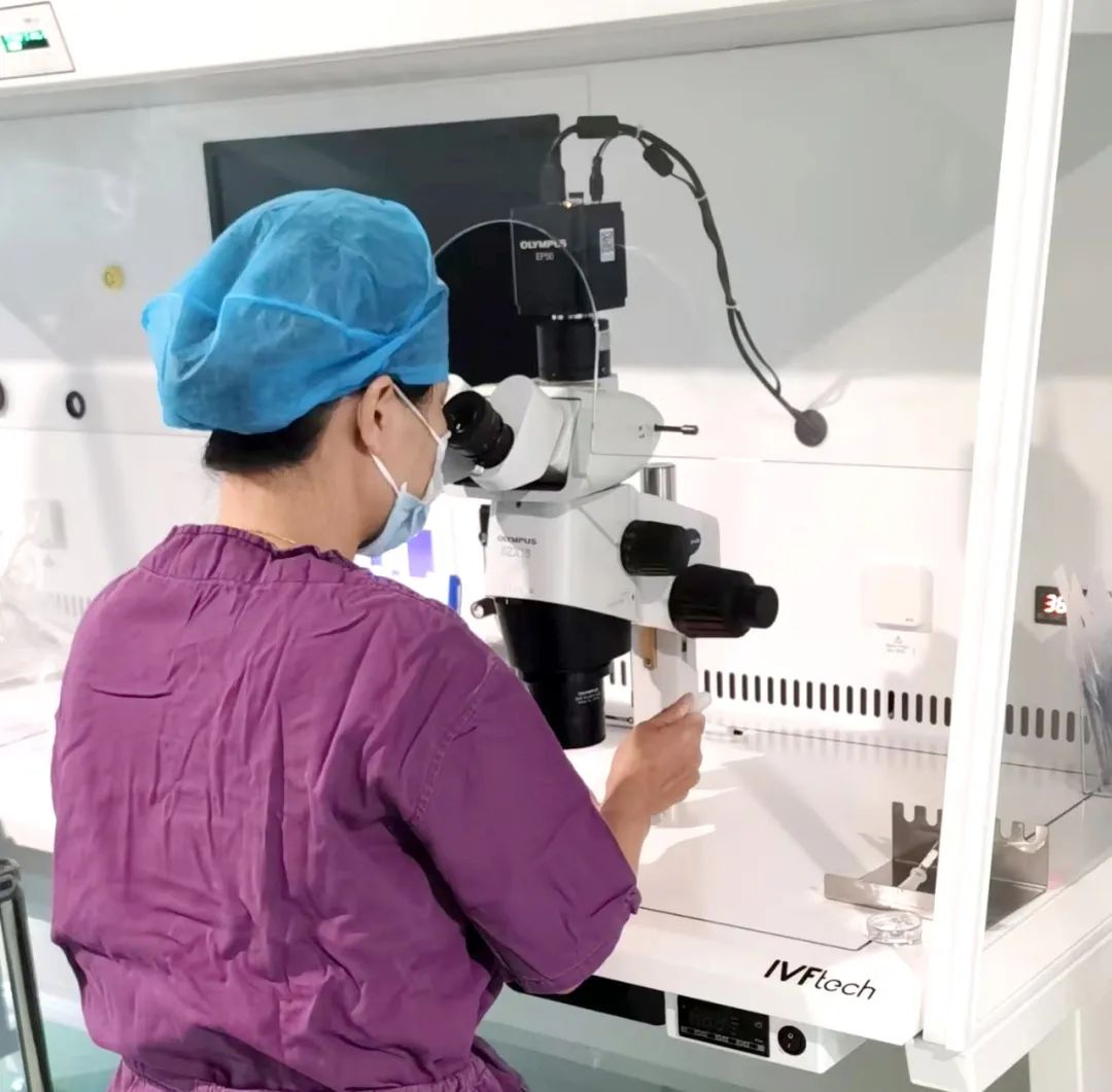 【喜訊】保山首例無精子癥通過試管嬰兒技術助孕成功！